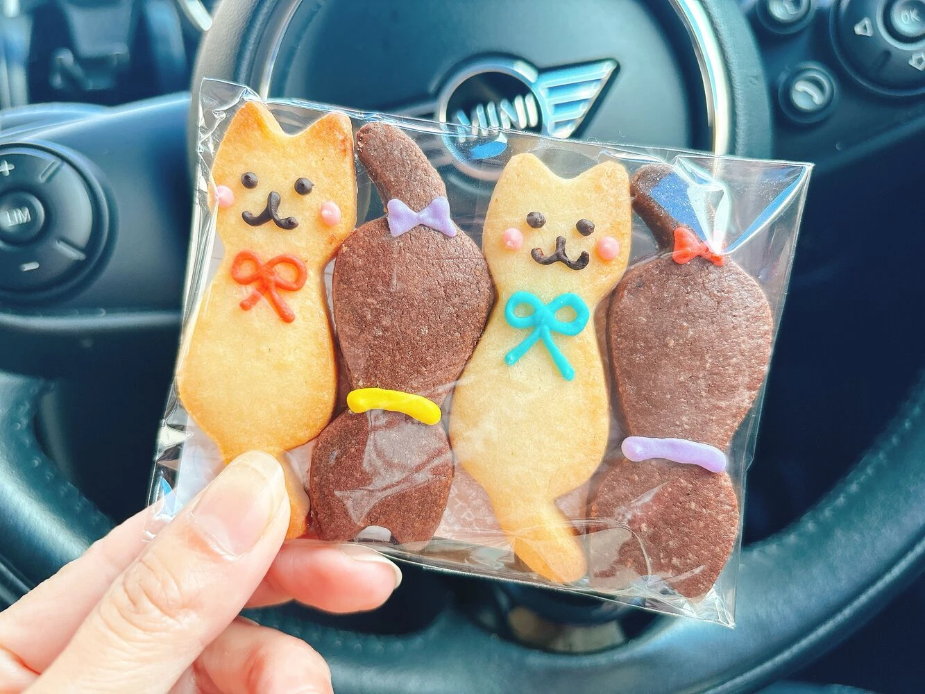 ブログ画像