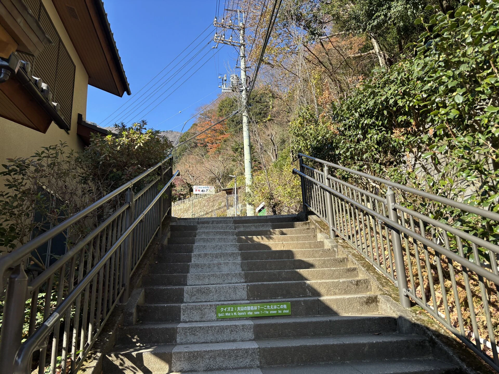 画像8766